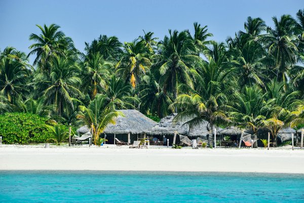 Explore the UK's Top Coastal Trails for Unforgettable Seal and Seabird Sightings